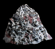 Multibed of gemolites